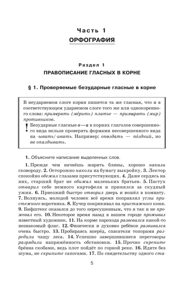 Практикум по русскому языку для старшеклассников и абитуриентов